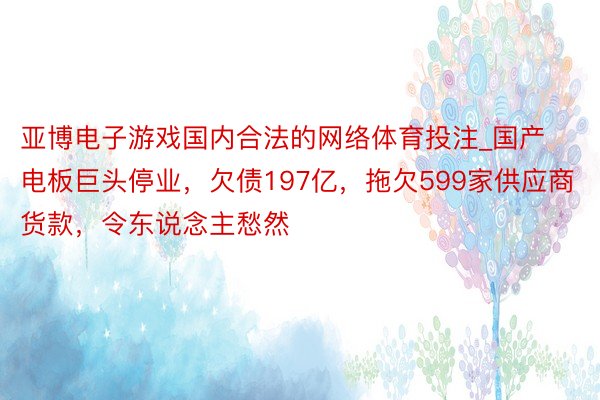 亚博电子游戏国内合法的网络体育投注_国产电板巨头停业，欠债197亿，拖欠599家供应商货款，令东说念主愁然