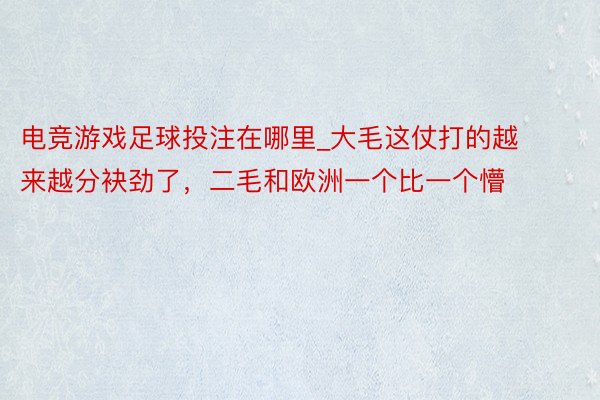 电竞游戏足球投注在哪里_大毛这仗打的越来越分袂劲了，二毛和欧洲一个比一个懵